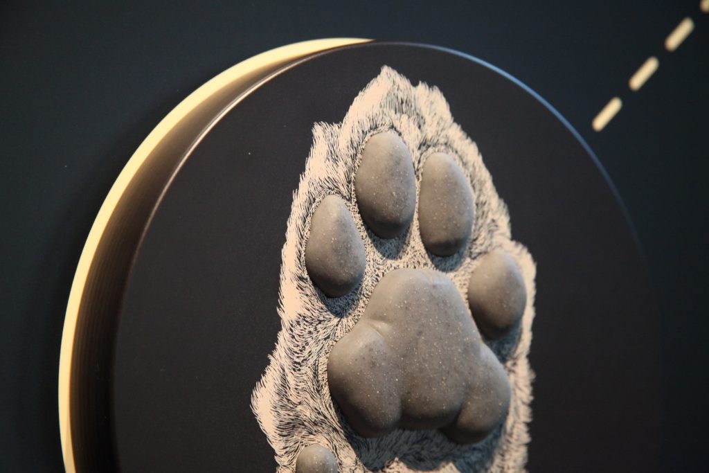 Das Bild zeigt die Nachbildung einer Tigertatze als Tastmodell in Nahaufnahme