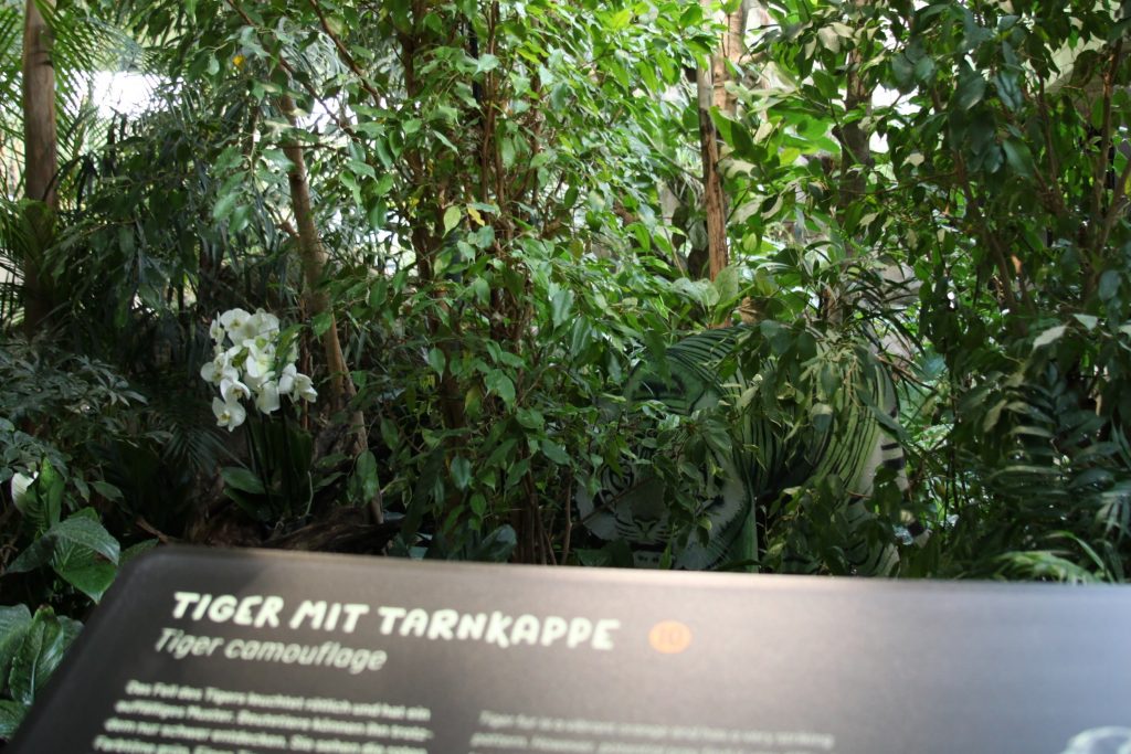 Das Bild zeigt ein Schild mit Text, dahinter in den Sträuchern verborgen die Darstellung eines grün-weiß-schwarz-gestreiften Tigers, wie ihn die Beutetiere sehen