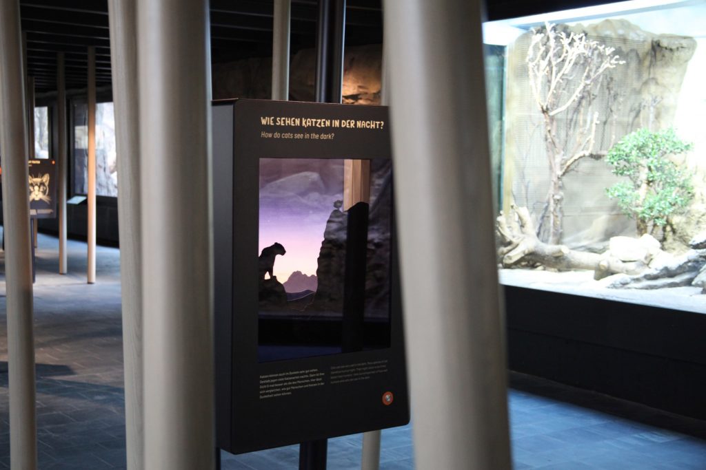 Das Bild zeigt das Exponat "Dämmerungssehen", ein Diorama mit einer hellen Landschaft als Hintergrund und den Umrissen einer Raubkatze im Vordergrund